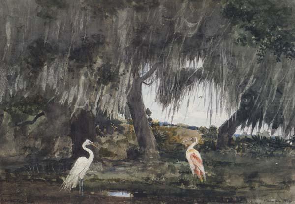 Winslow Homer At Tampa (mk44) china oil painting image